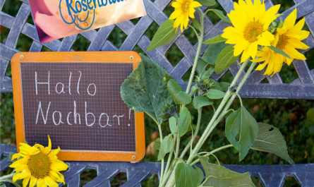 Herbstwind 55 Seniorenzeitschrift Landkreis Südwestpfalz